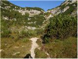 End of road on Pokljuka - Prevalski Stog